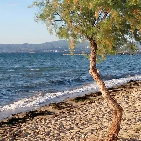 Sunny 50m From The Beach Daire Peraía