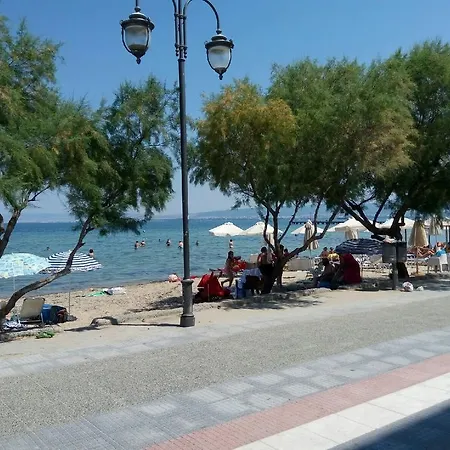 Sunny 50m From The Beach *