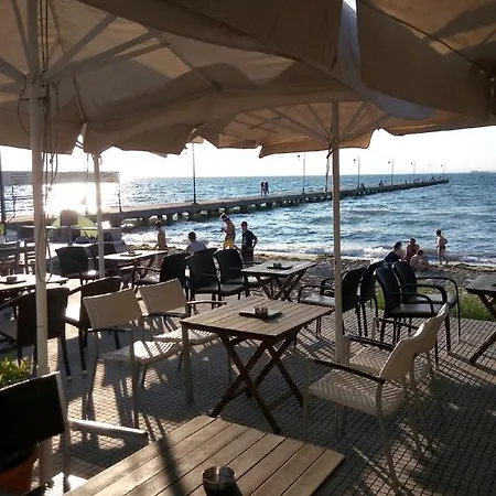 Sunny 50m From The Beach Daire